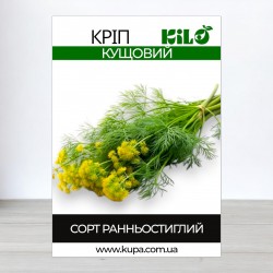 Насіння кропу Кущовий, 1кг